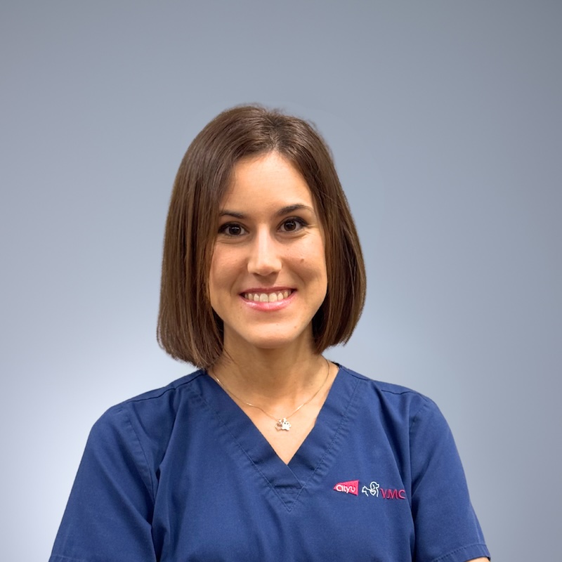 Professor Virginia Merino Gutierrez